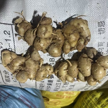 市场精品货，有量欢迎对接