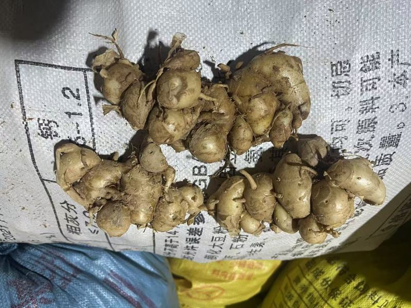 市场精品货，有量欢迎对接