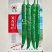 华强邹香辣075软皮牛角椒种子中早熟果翠绿顺直果尾钝尖辣
