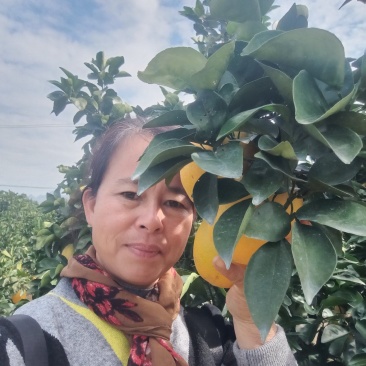 家乡特产，需要请联系