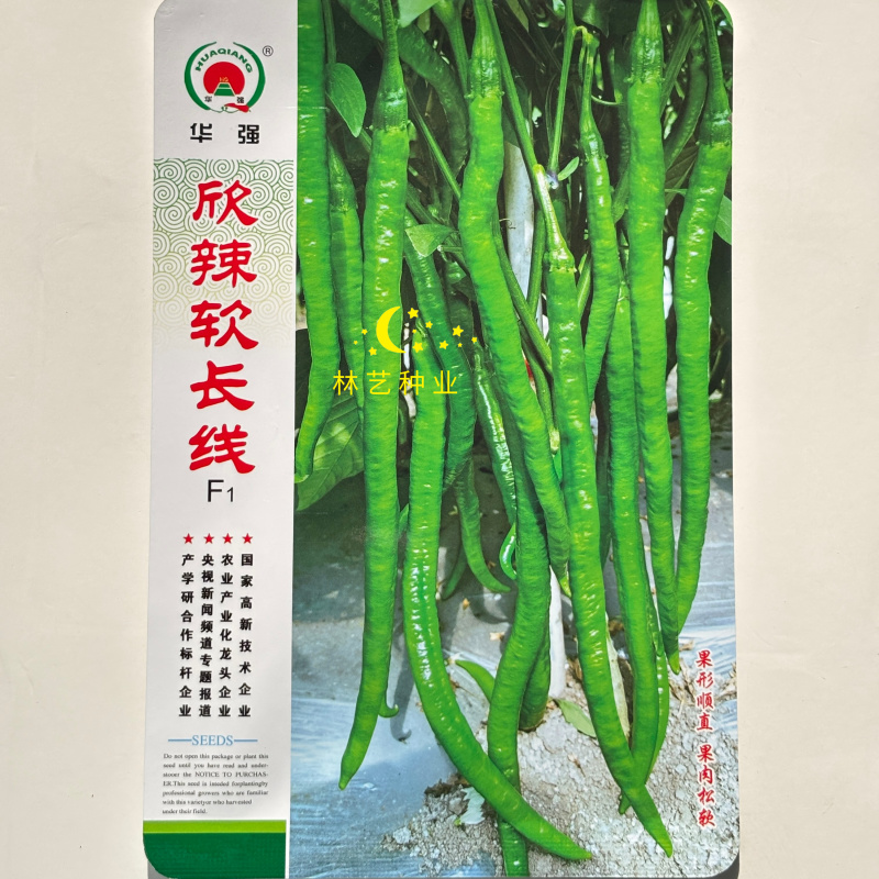华强欣辣软长线椒种子早中熟果面微皱翠绿有光泽顺直松软春秋