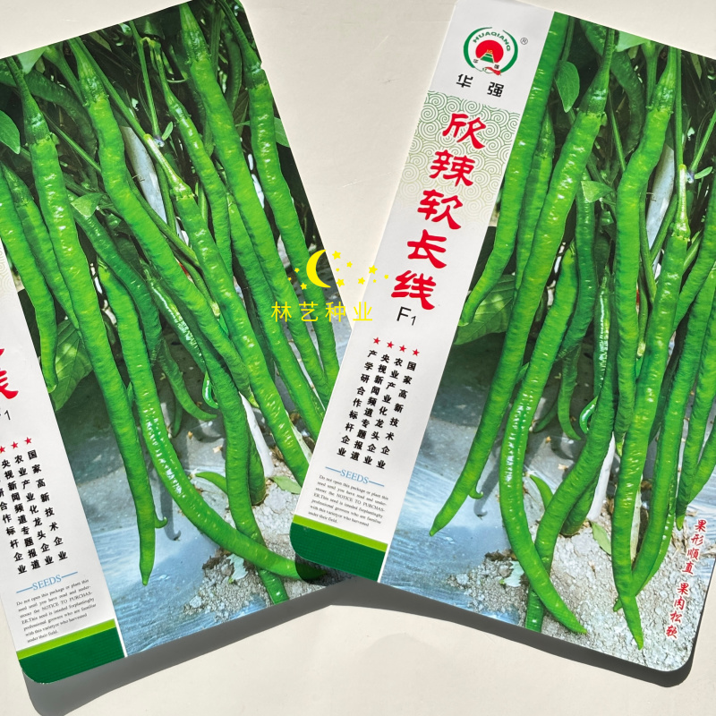 华强欣辣软长线椒种子早中熟果面微皱翠绿有光泽顺直松软春秋