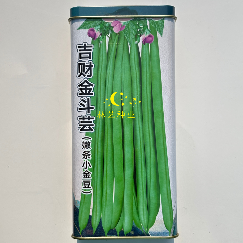 吉财金斗芸小金豆角种子抗寒耐热种籽四季豆早熟春秋蔬菜