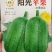 丝瓜种子阳光苹果丝瓜