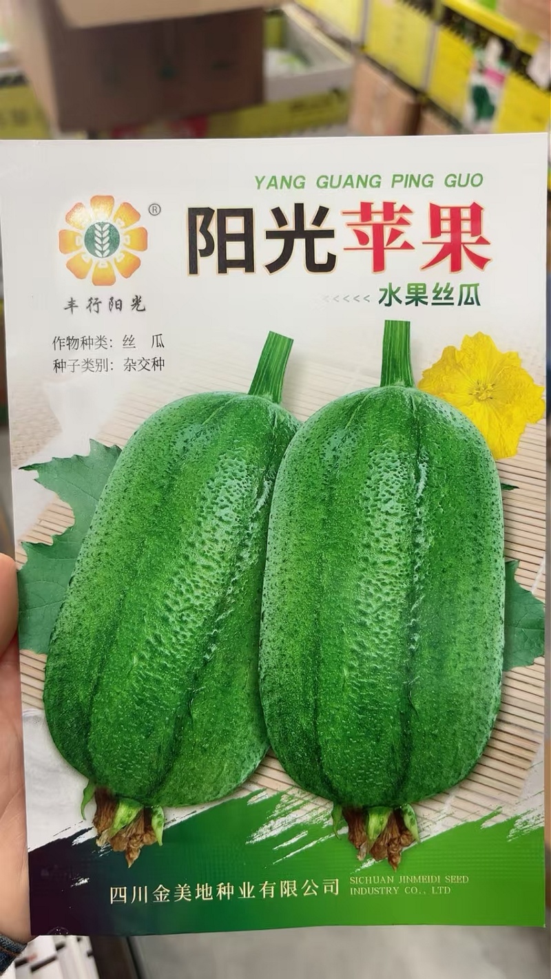 丝瓜种子阳光苹果丝瓜