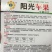 丝瓜种子阳光苹果丝瓜
