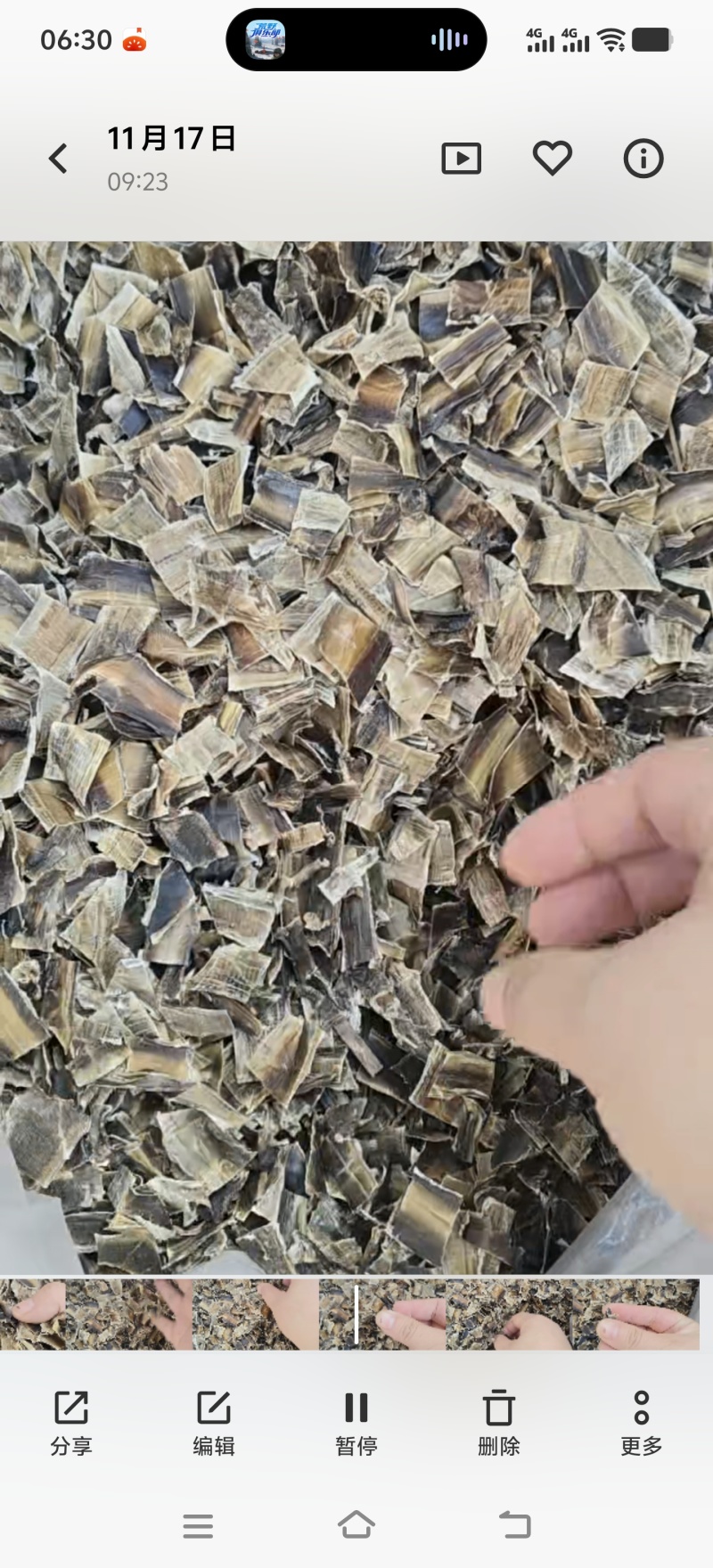 地龙干无土全开蚯蚓干地龙段无土地龙个段各种规格