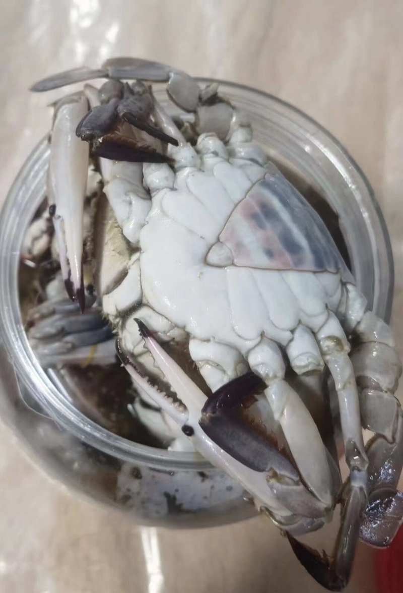 腌制大螃蟹