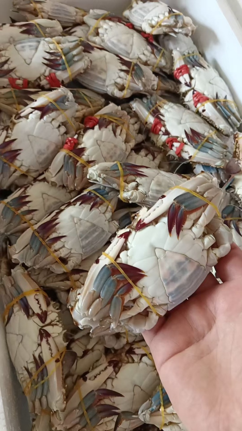 腌制大螃蟹