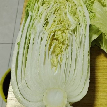 威县大白菜大量上市，欢迎各地客商前来采购！