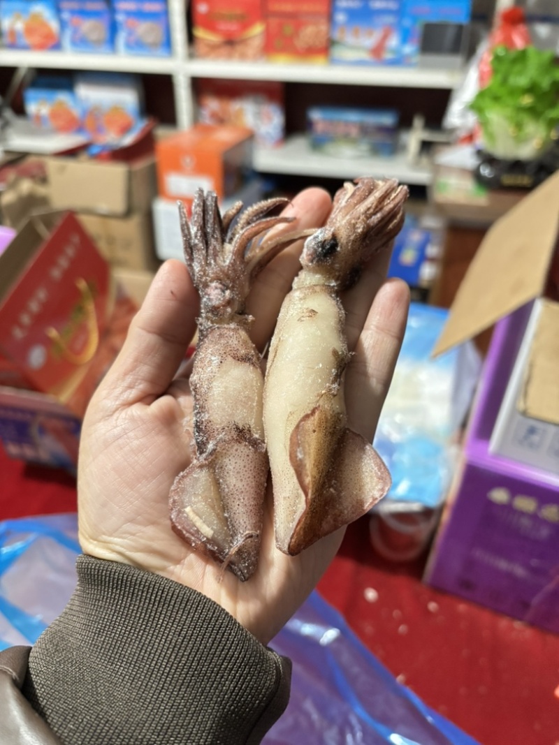 大乌籽