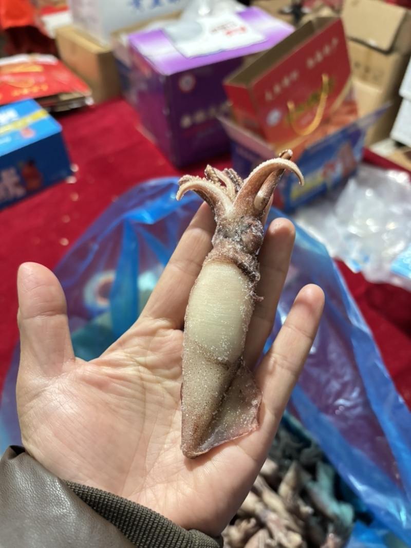 大乌籽