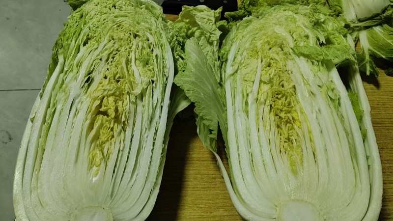 威县大白菜大量上市，欢迎各地客商前来采购！