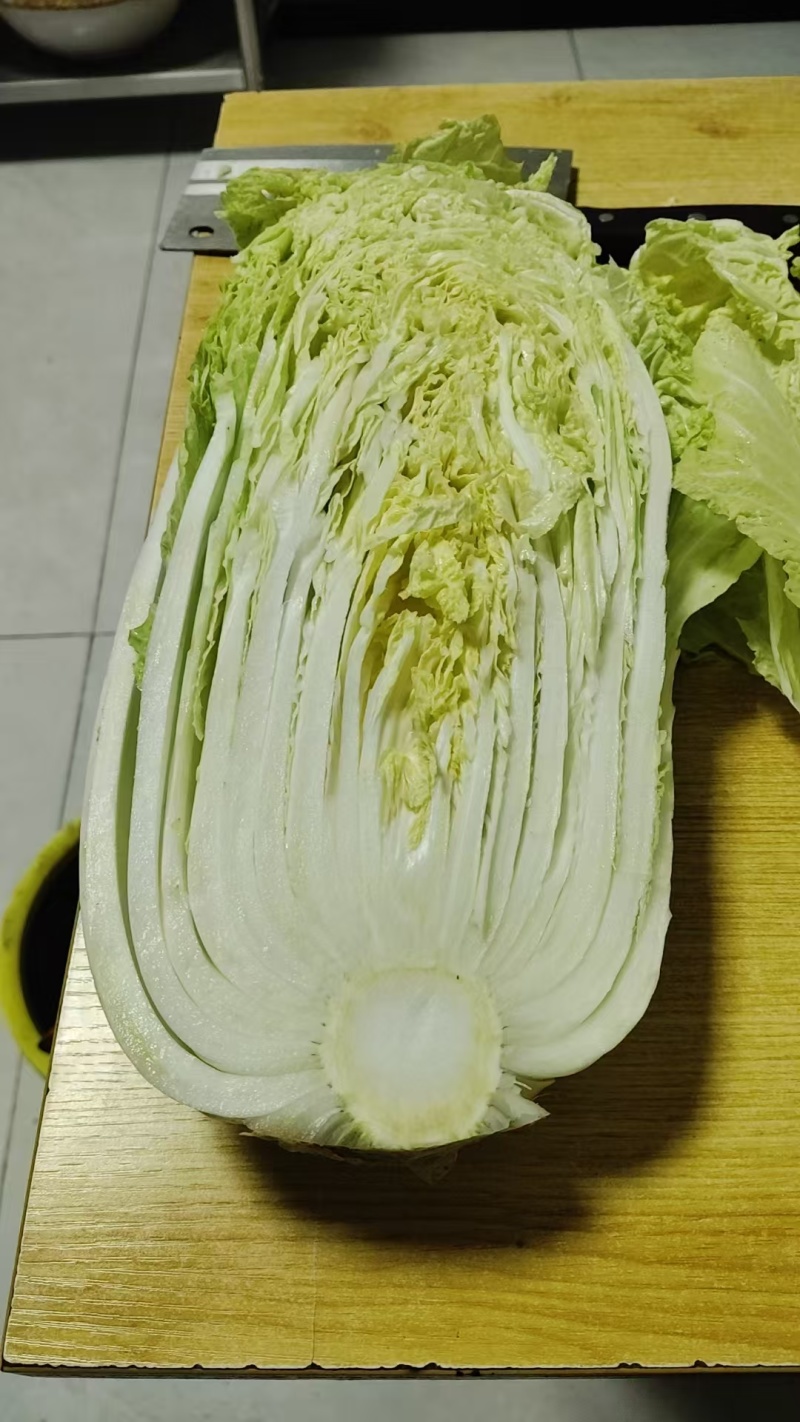 威县大白菜大量上市，欢迎各地客商前来采购！