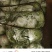 威县大白菜大量上市，欢迎各地客商前来采购！