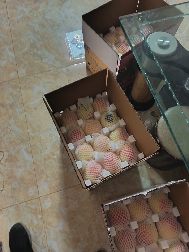 茂汶瑞雪彩色苹果