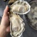 乳山三倍体纯肉现开大蚝花肉斤8-10颗