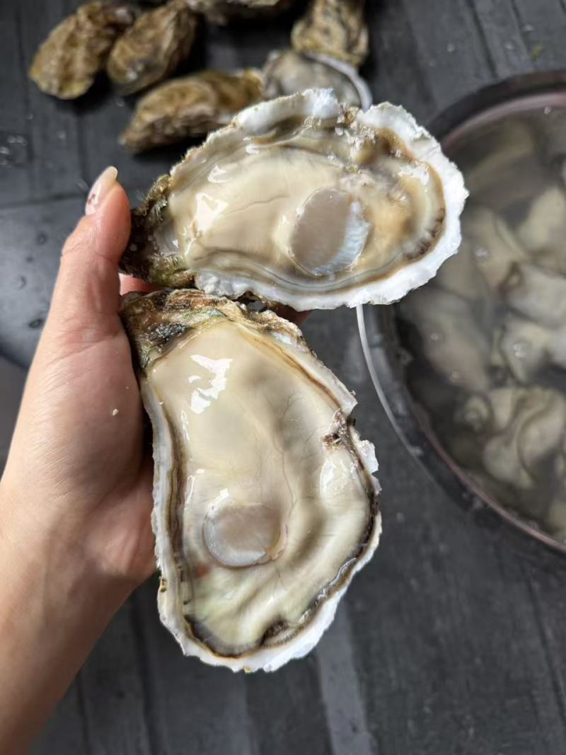 乳山三倍体纯肉现开大蚝花肉斤8-10颗