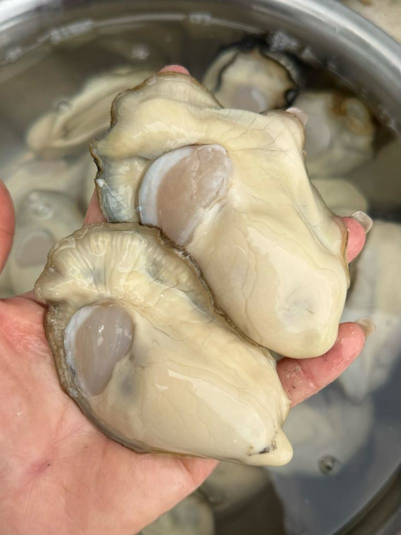 乳山三倍体纯肉现开大蚝花肉斤8-10颗