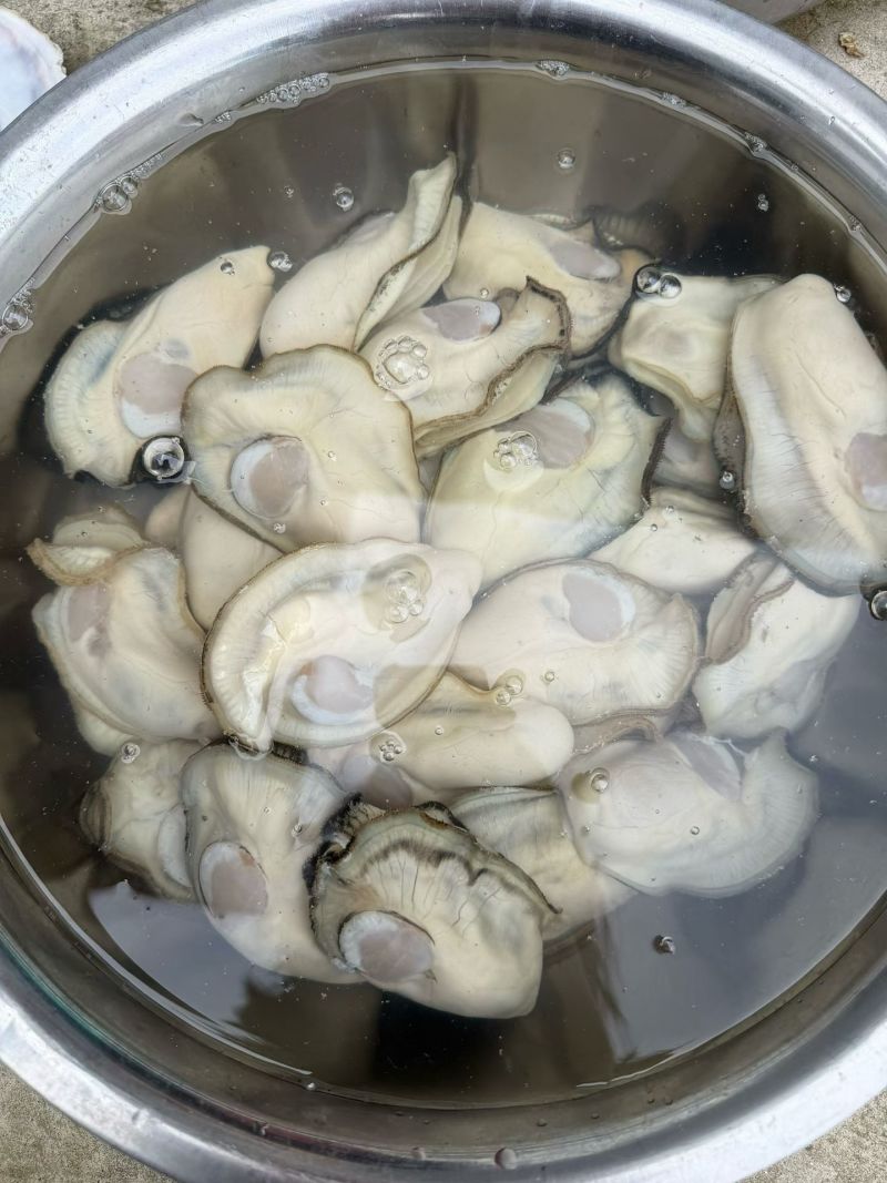 乳山三倍体纯肉现开大蚝花肉斤8-10颗