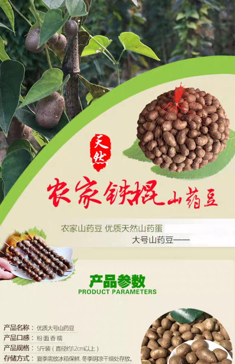 包邮）新鲜大号颗粒铁棍山药豆农家淮怀山药蛋糖葫芦山药豆