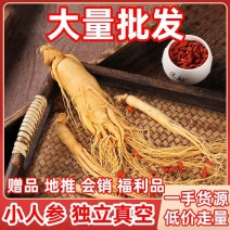 长白山保鲜参整根批发独立包装泡酒工厂直发支持一件代发