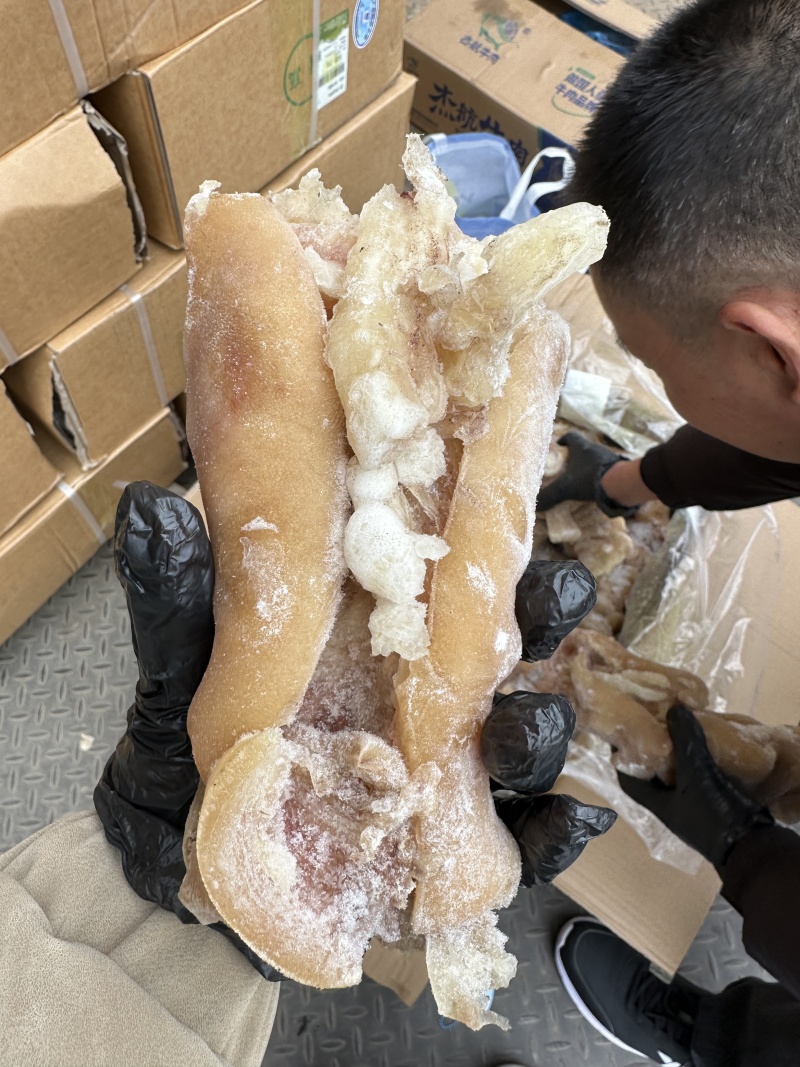 火烧去骨牛蹄带主筋