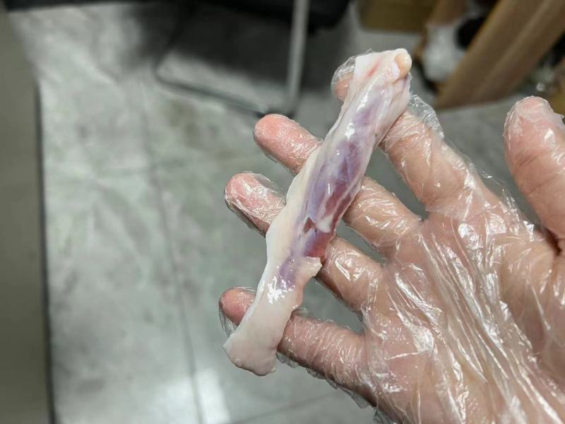 肥猪一根筋