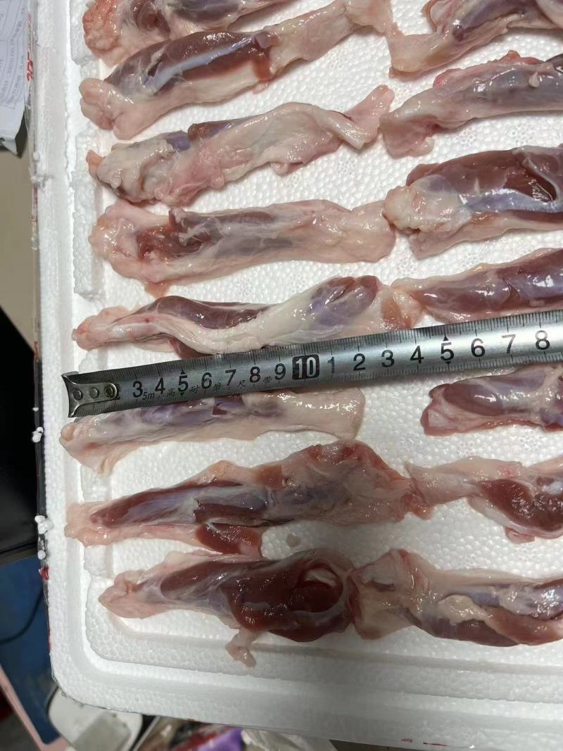 肥猪一根筋