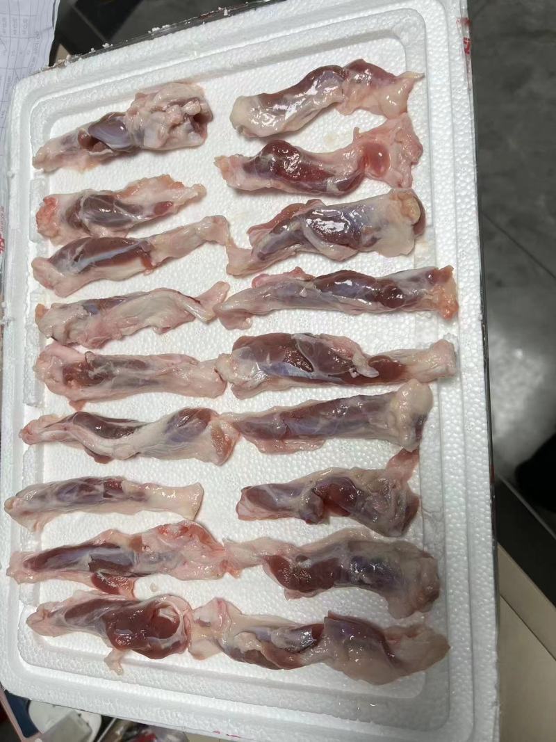 肥猪一根筋