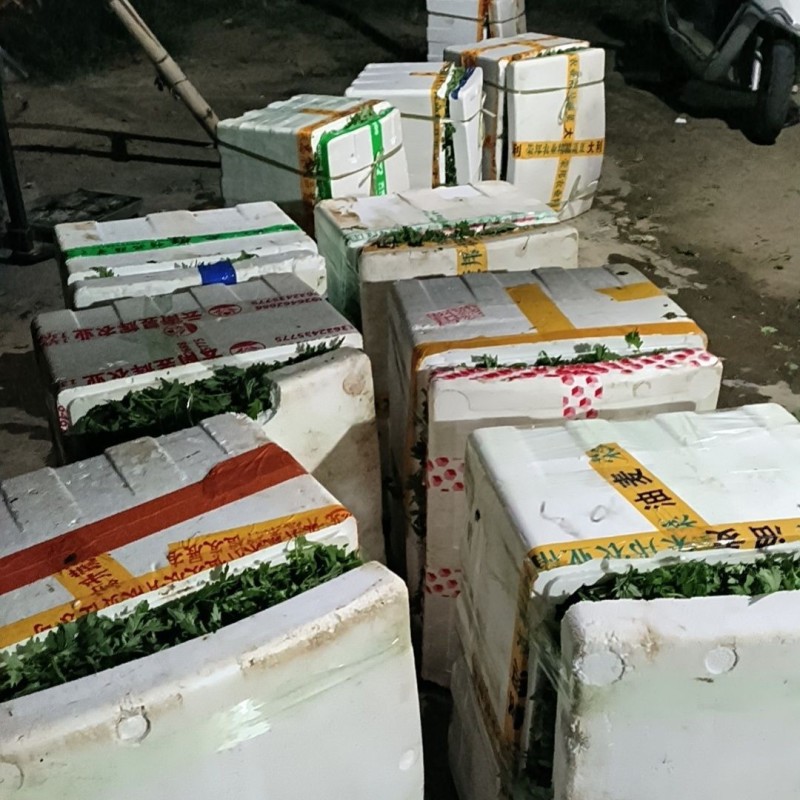 新鲜艾草叶、食用艾叶、艾果，青团，艾糍，支持一件代发！