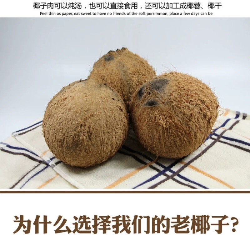 包邮）海南特产新鲜椰子去皮批发毛椰孕妇当季商用老椰子煲汤