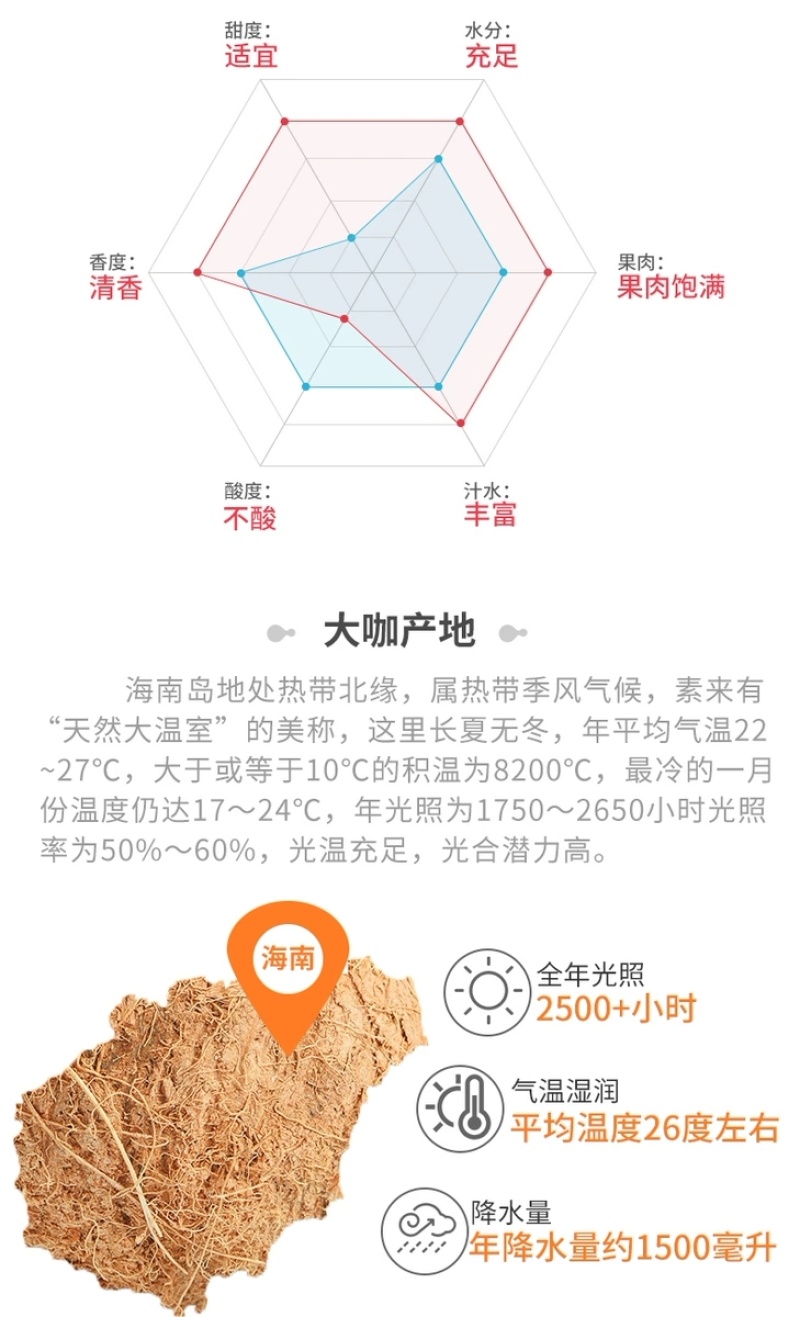 包邮）海南特产新鲜椰子去皮批发毛椰孕妇当季商用老椰子煲汤