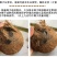 包邮）海南特产新鲜椰子去皮批发毛椰孕妇当季商用老椰子煲汤