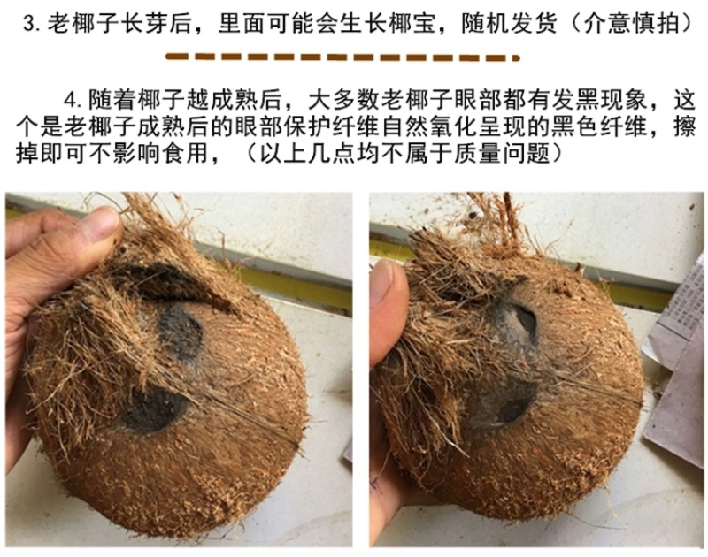 包邮）海南特产新鲜椰子去皮批发毛椰孕妇当季商用老椰子煲汤