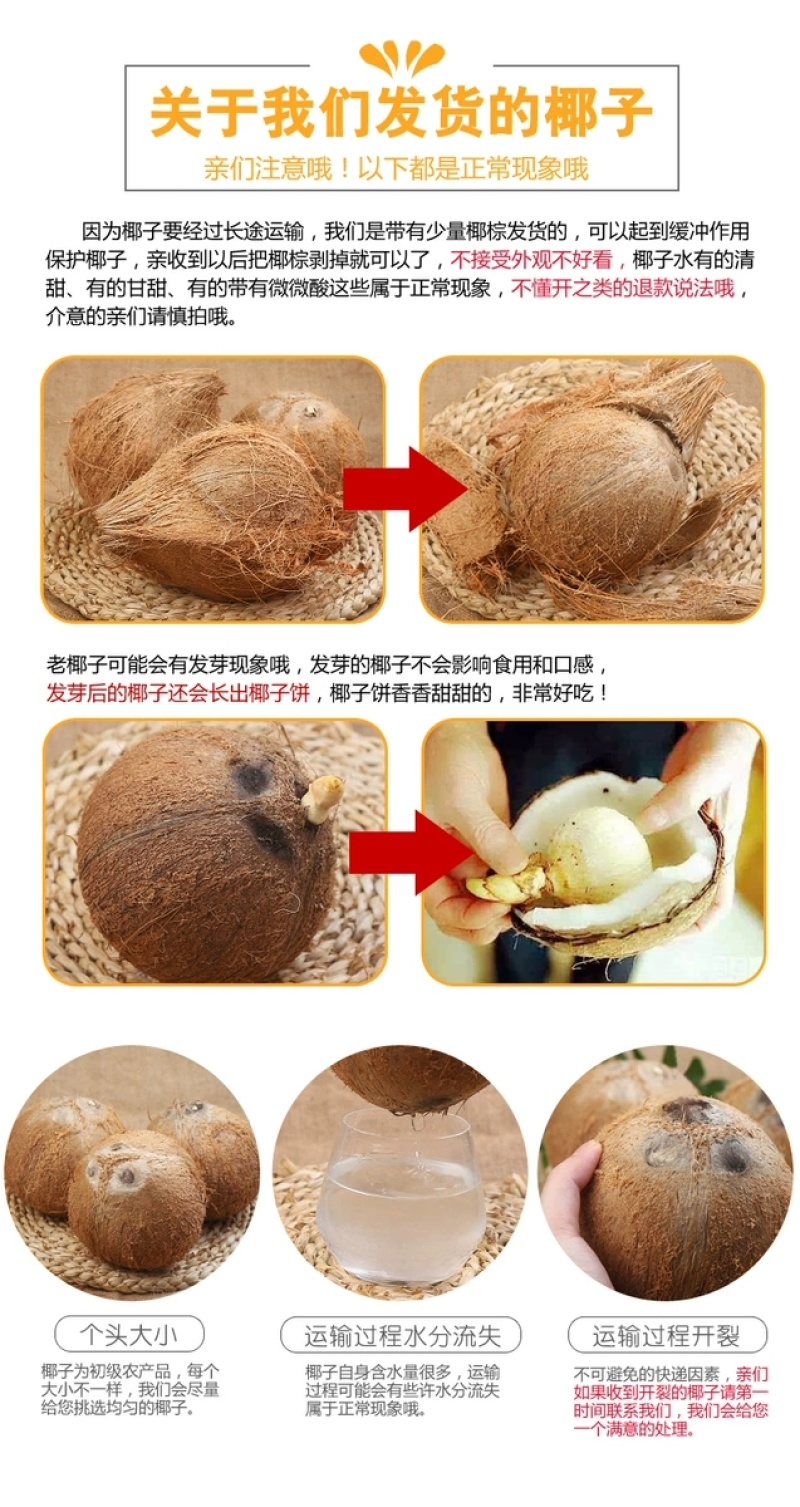 包邮）海南特产新鲜椰子去皮批发毛椰孕妇当季商用老椰子煲汤