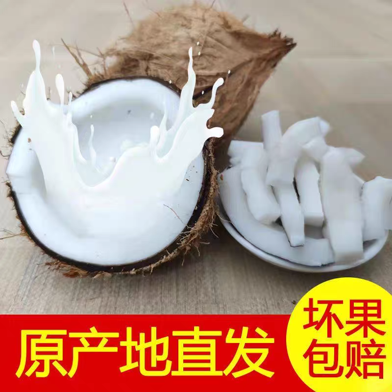 包邮）海南特产新鲜椰子去皮批发毛椰孕妇当季商用老椰子煲汤