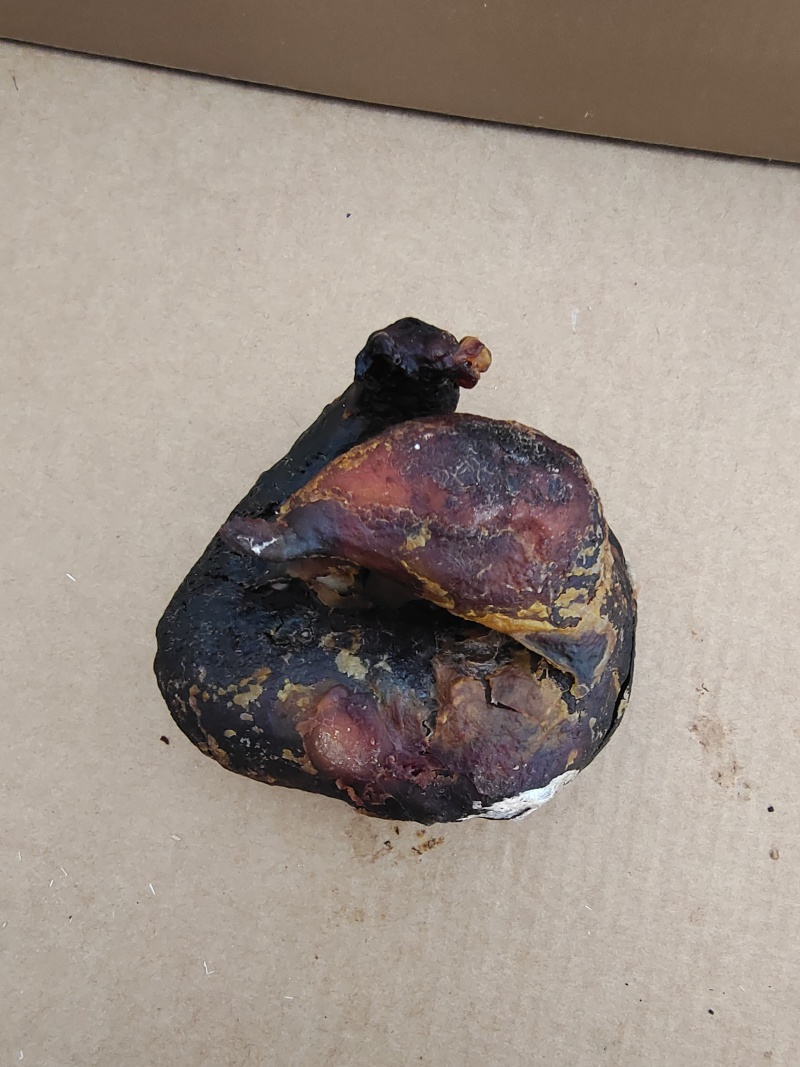 鸡宝