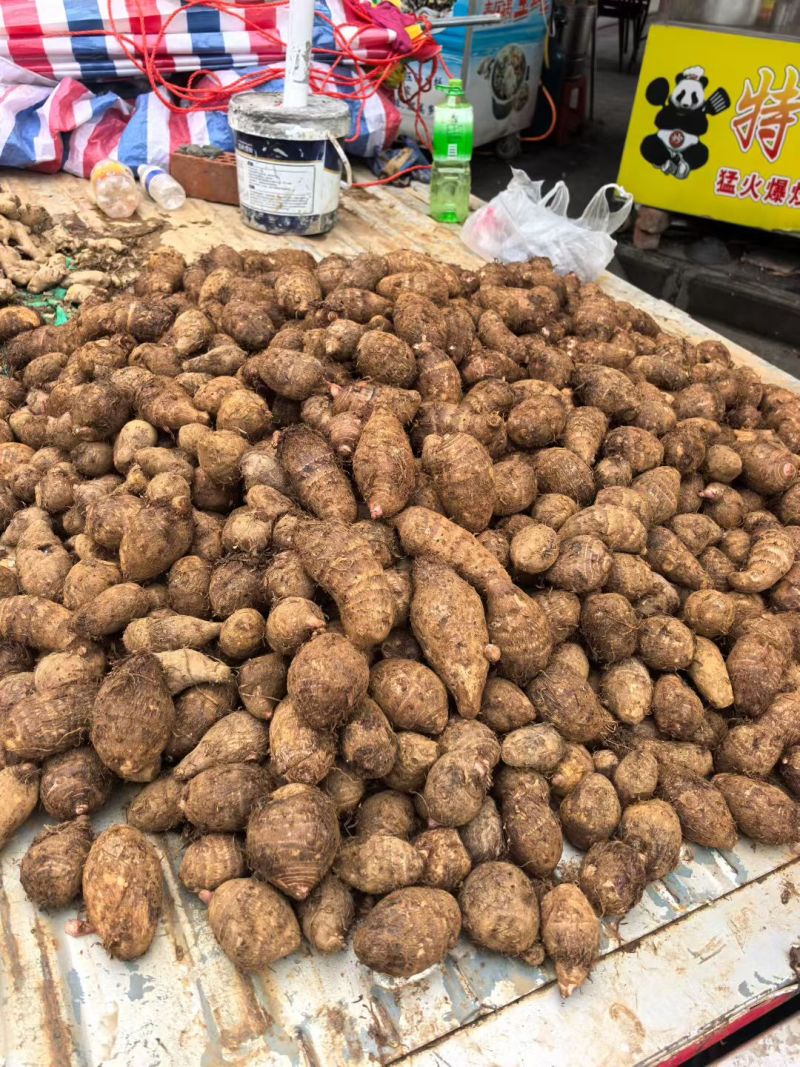 广西巴马禄普芋头红芽芋头