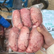精修牛宝