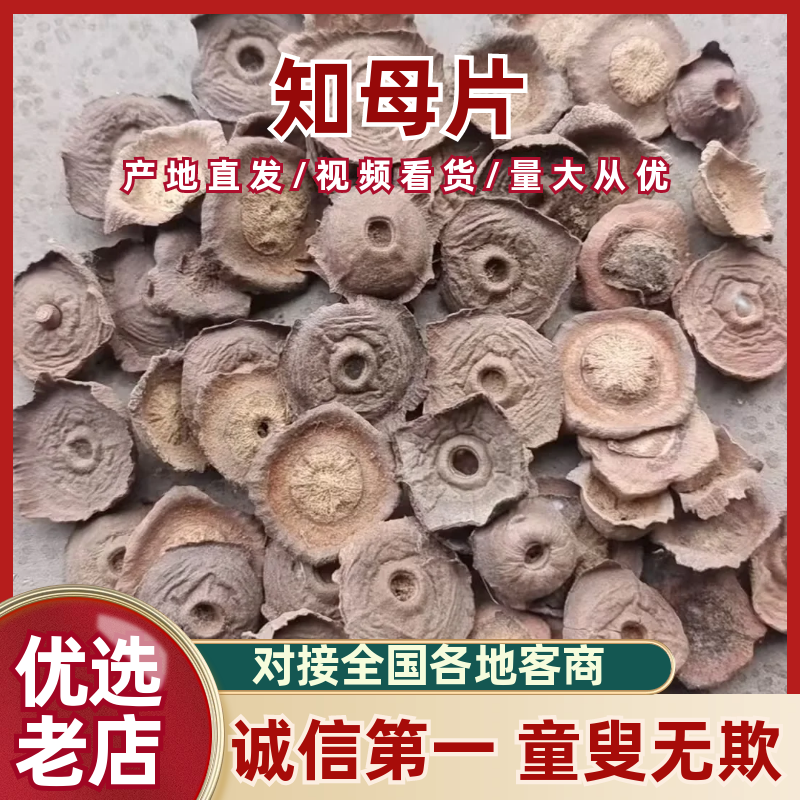 河北知母片大量有货兴隆饮片品质好量大从优