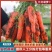 通许胡萝卜全樱带土半樱水洗中条都有不开裂糠心预冷保存时间长