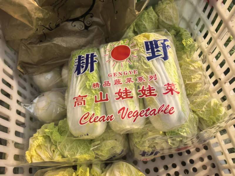 江苏小娃娃菜新鲜上市价格美丽对接全国脆嫩可口量大从优