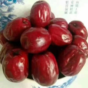 稷山板枣