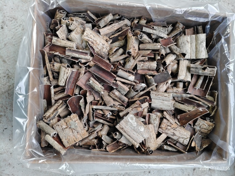 杜仲皮甘肃陇南深山老树杜仲高压清洗自然晾晒产地直供