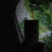西芹60cm以上，