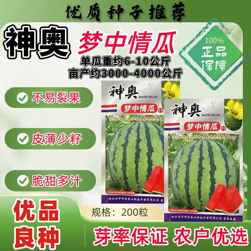 神奥梦中情瓜种子品种红瓤不易裂瓜