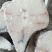 深海鳕鱼块肉嫩就一根主骨头雪鱼批发海鱼深海雪鱼鳕鱼片