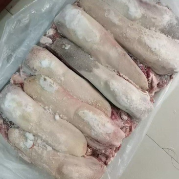 牛舌