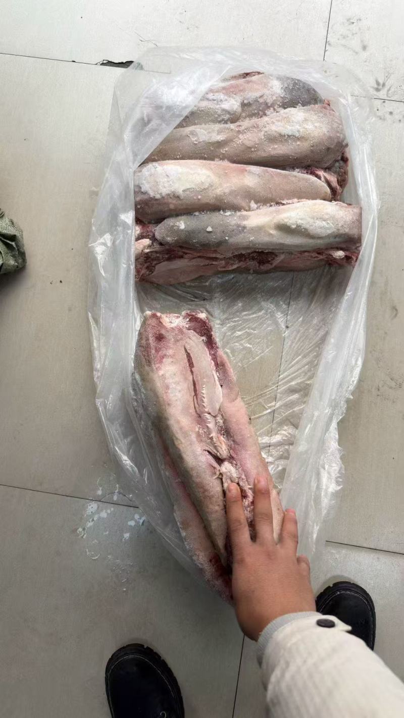 牛舌